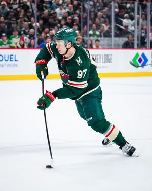 Image post by @minnesotawild on Instagram