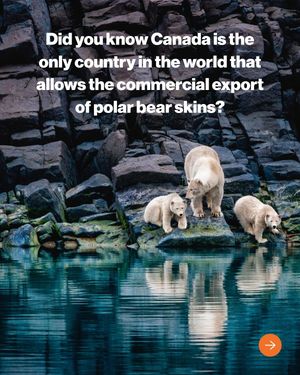 Image post by @sealegacy on Instagram