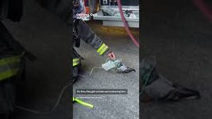 Video post by @nbcnews on YouTube