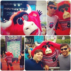 Image post by @bennythebull on Instagram