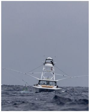 Image post by @freemanboatworks on Instagram
