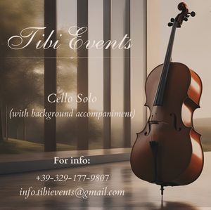 Image post by @kevin.mucaj.violin on Instagram