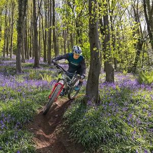 Image post by @nukeproofbikes on Instagram