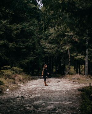 Image post by @roosanchez on Instagram