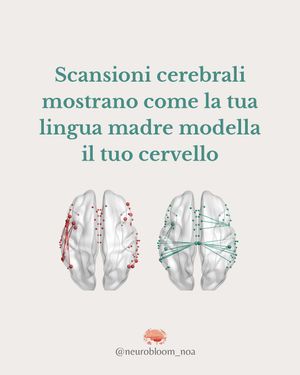 Image post by @neurobloom_noa on Instagram