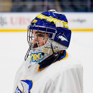 Image post by @hoficehockey on Instagram