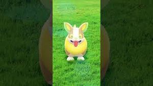 Video post by @pokemongo on YouTube
