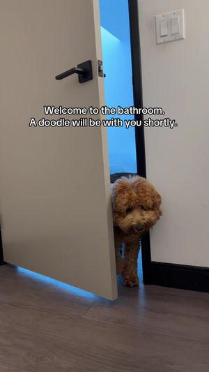 Video post by @tedflixnchill on TikTok
