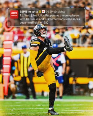 Image post by @steelers on Instagram