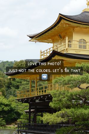 Video post by @josephinethebaron on TikTok