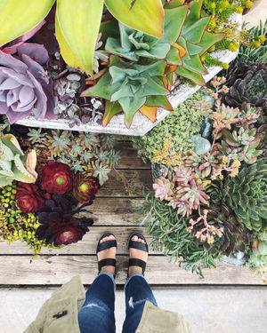 Image post by @kirstenalana on Instagram