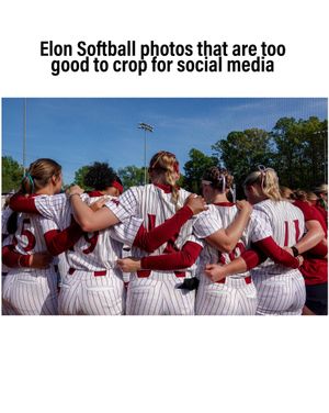 Image post by @elonsoftball on Instagram