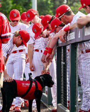 Image post by @hrwalkerphotography on Instagram