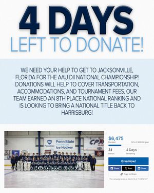 Image post by @pennstateharrisburghockey on Instagram