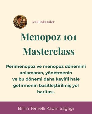 Image post by @asliokender on Instagram