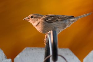Image post by @JKlingPhotos on Facebook