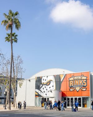 Image post by @the_rinks on Instagram
