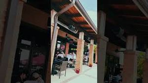Video post by @1801 Media on YouTube