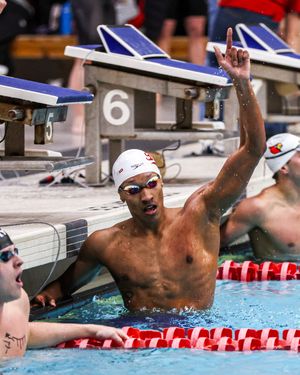 Image post by @pdaviscreative on Instagram