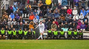 Image post by @hofstramsoc on Instagram