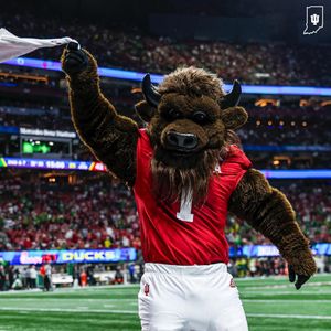 Image post by @hoosierthebison on Instagram