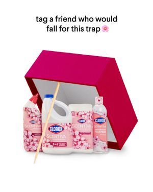Image post by @clorox on Instagram