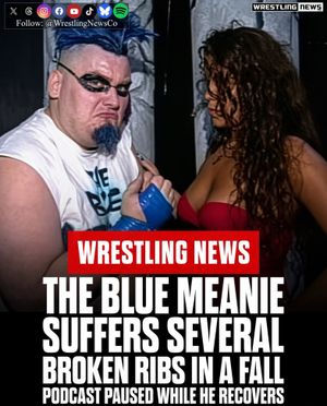 Image post by @wrestlingnewsco on Instagram