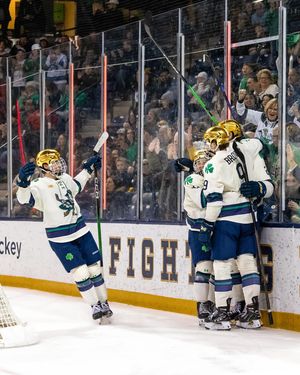 Image post by @thefightingirish on Instagram