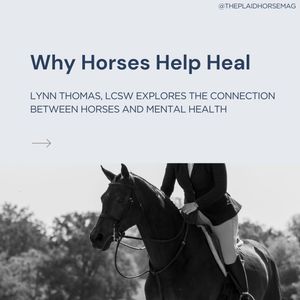 Image post by @theplaidhorsemag on Instagram