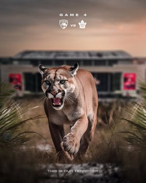 Image post by @FlaPanthers on Twitter