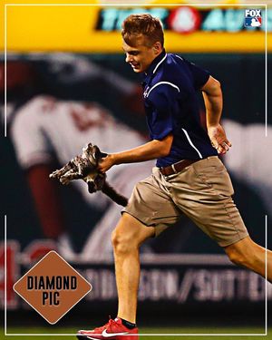Image post by @mlbonfox on Instagram