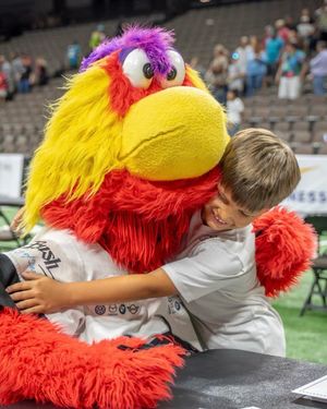Image post by @jaxsharks on Instagram
