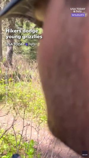 Video post by @Enquirer on Facebook