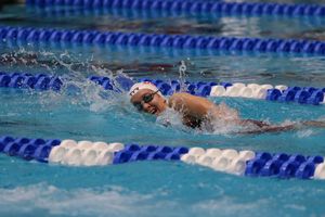 Image post by @laurenhertle_photos on Instagram