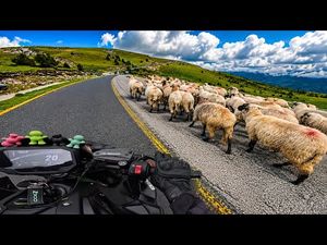 Video post by @2wheelsroadlife on YouTube