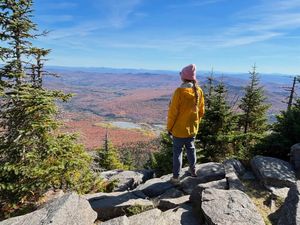 Image post by @audipayne on Instagram