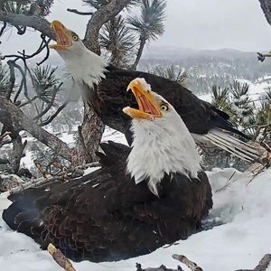Image post by @usgs on Instagram