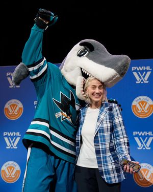 Image post by @womenofhockeysj on Instagram