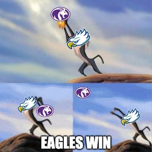 Image post by @fgcu_mbb on Instagram