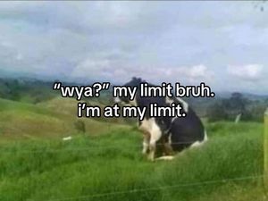 Video post by @moomoorevolution on TikTok