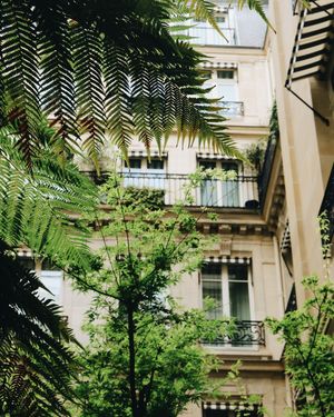 Image post by @rosewoodhoteldecrillon on Instagram