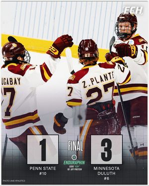 Image post by @everythingcollegehockey on Instagram