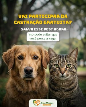 Image post by @annemoraesvereadora on Instagram