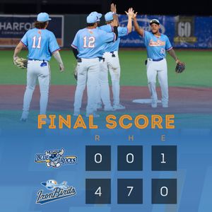 Image post by @IronBirds on Twitter