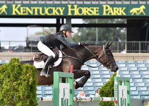 Image post by @kyhorseshows on Instagram