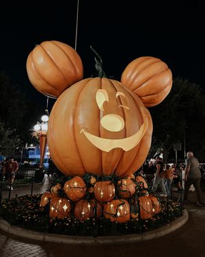 Image post by @disneylandmagickey on Instagram