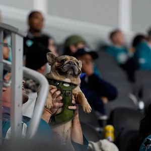 Image post by @frenzyahl on Instagram