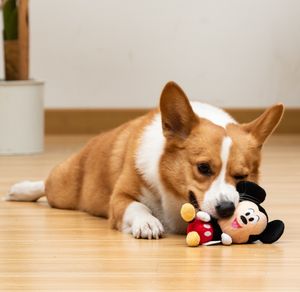 Image post by @disneypets on Instagram