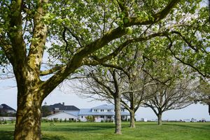 Image post by @AJGAGolf on Twitter