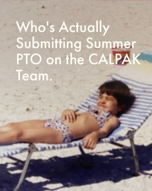 Image post by @calpak on Instagram